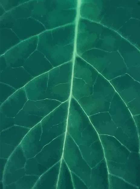 Summer tropical leaves texture background