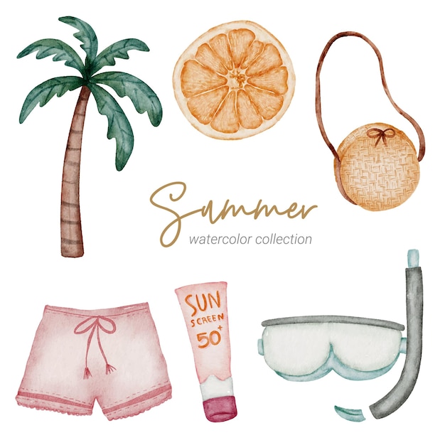 summer watercolor element collection