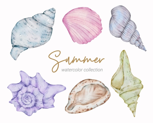 summer watercolor element collection