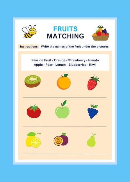 Summer Worksheet Activety Book For Kids