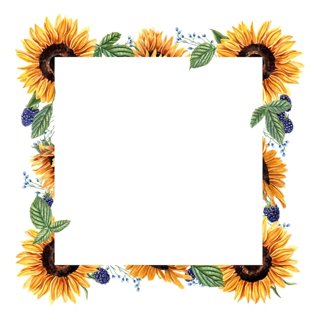 Vector sunflower blackberry and wildflower square frame with summer plants berries blue orange yellow flowers floral summer design empty space for text watercolor illustration for invitation