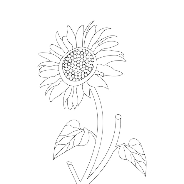 Sunflower Coloring Page For kids And Line Art Design