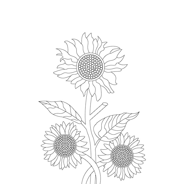 sunflower coloring page With line art flower sketch vector design and illustration