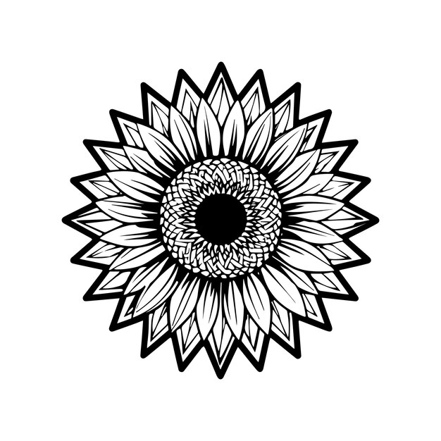 Vector sunflower coloring pages sunflower outline vector