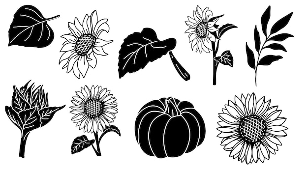 Sunflower fall illustration Vector black fall botany element