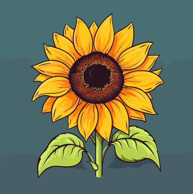 Sunflower flower isolated summer vector flat illustration