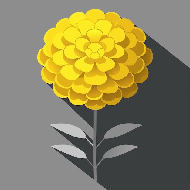 Vector sunflower flowers with leaves and stems isolated on a background