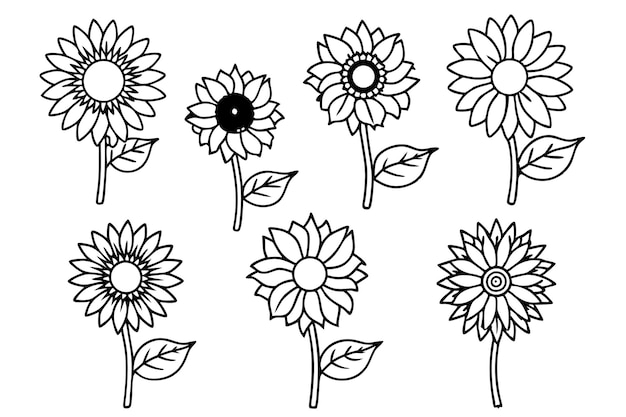 Sunflower Line Art Intricate Floral Pattern Illustration Artwork