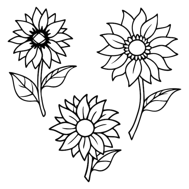 Sunflower Line Drawing Vectors Line Art Tattoo