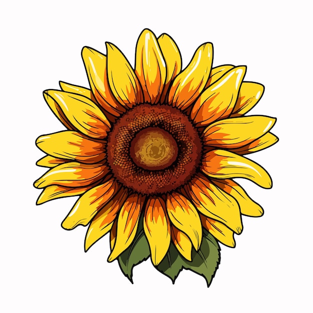 Sunflower Line Vector Illustration Cartoon