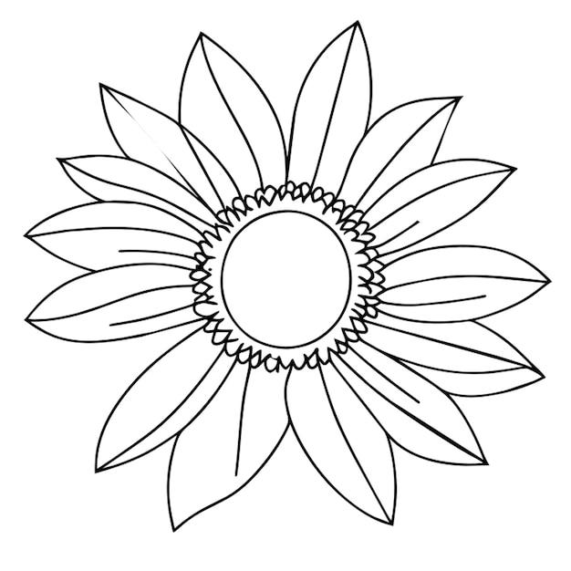 sunflower outline no blackground vector illustration line art