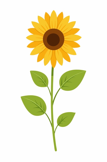 Sunflower plant minimal design vector illustration