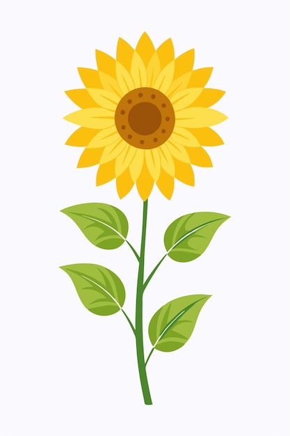 Sunflower plant minimal design vector illustration