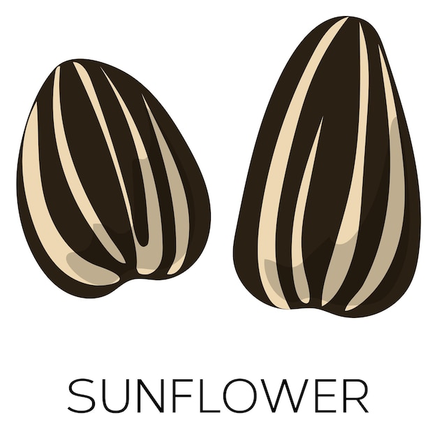 Sunflower seeds icon Raw vegan healthy snack