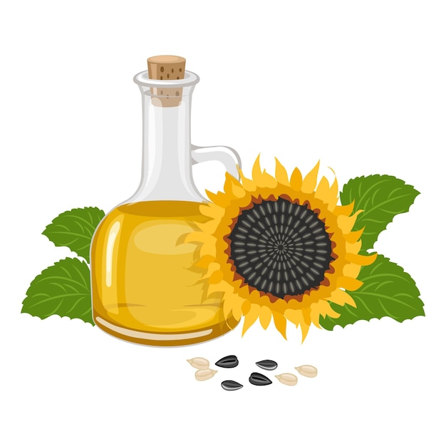 Sunflower set Sunflower oil sunflower plant seeds in a bowl Agriculture food Vector