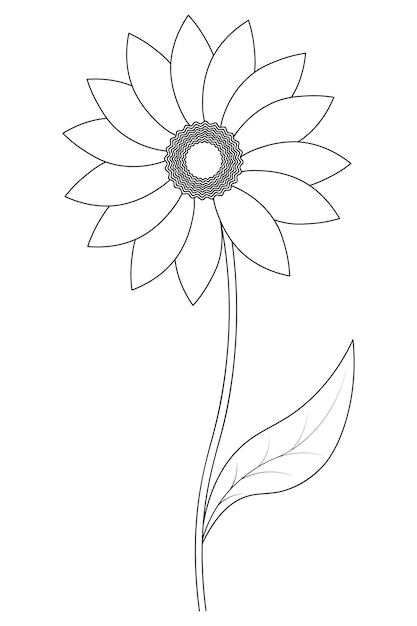 Sunflower Solar flower Sketch Harvest seeds for processing into oil Plant of the aster family