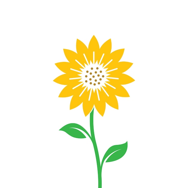 Sunflower vector illustration concept design