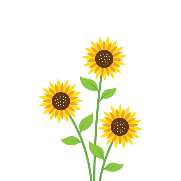 Sunflower vector illustration element design