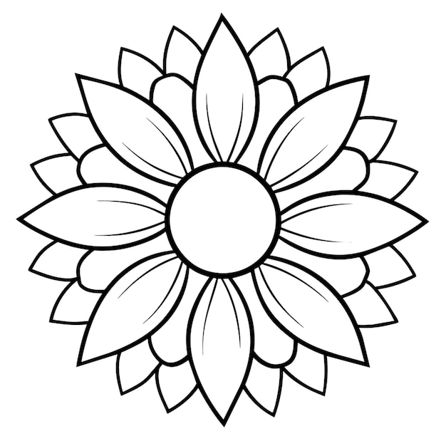 sunflower vector illustration line art