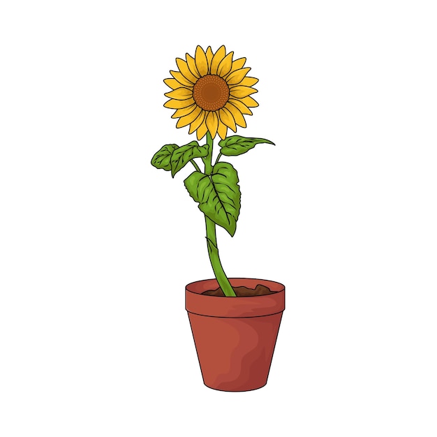 Vector sunflower