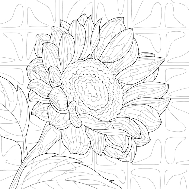 SunflowerColoring book antistress for children and adults Illustration isolated on white background