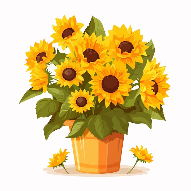 Vector sunflowers in bucket fresh cut field flowers