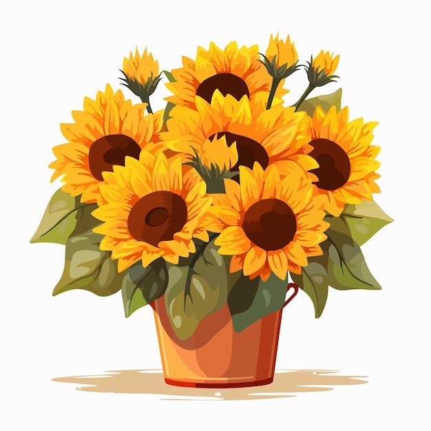 Vector sunflowers in bucket fresh cut field flowers