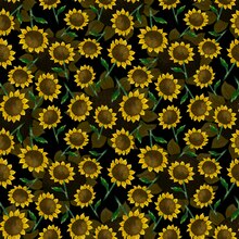 sunflower seamless patterns