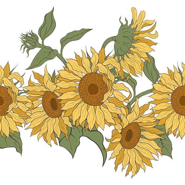 Sunflowers Vector horizontal border seamless pattern Hand drawn sunflowers on a white background