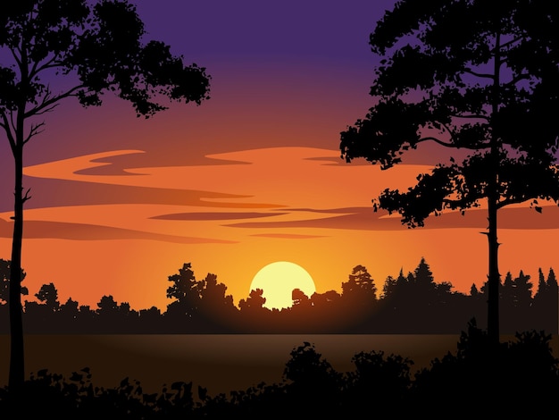 Sunset in forest with silhouette of treeS