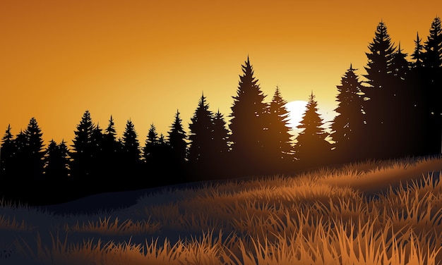 Vector sunset landscape with pine forest and meadow