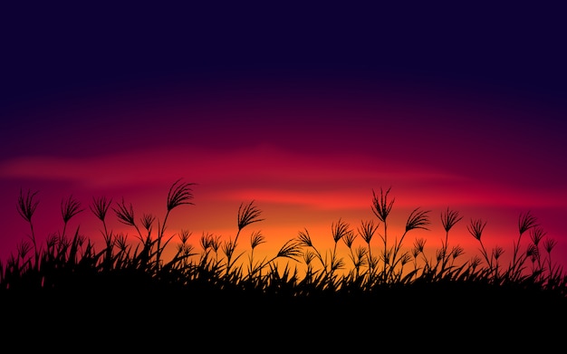 Sunset sky with grass silhouette background