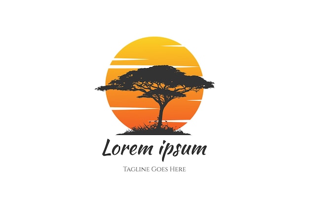 Sunset Sunrise African Acacia Tree Forest Logo Design Vector