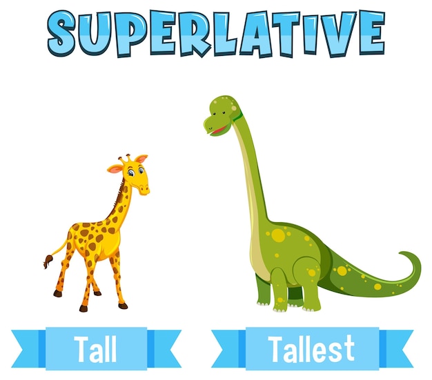 Superlative Adjectives for word tall