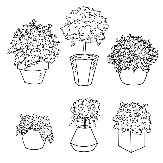 Sute hand drawn houseplant in a pot clipart Plant illustration Cozy home doodle set