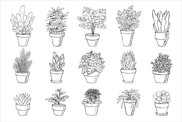 Sute hand drawn houseplant in a pot clipart Plant illustration Cozy home doodle set