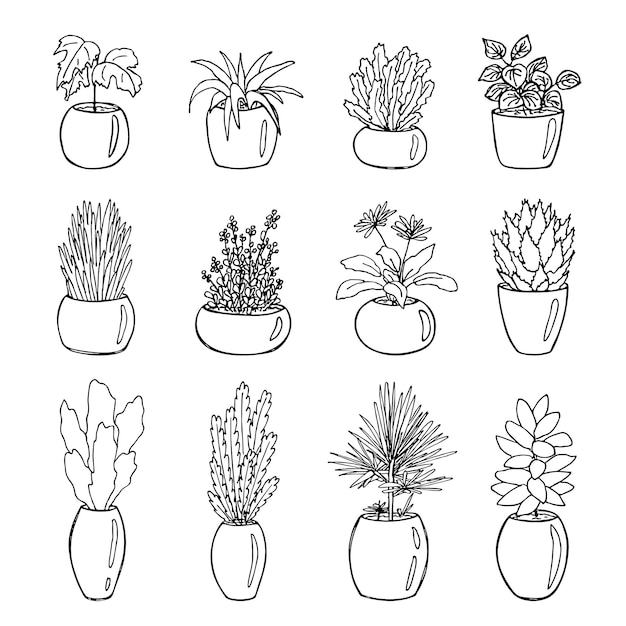 Sute hand drawn houseplant in a pot clipart Plant illustration Cozy home doodle set