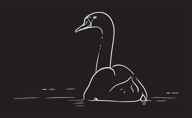 Swan swimming calmly in the water vector line art illustration on black background