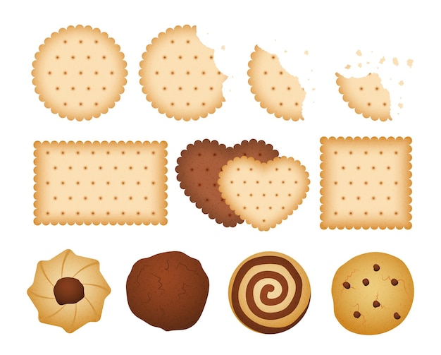 Sweet biscuits Bitten chip biscuit cookie crackers Isolated chocolate vanilla cookies and bakery vector set