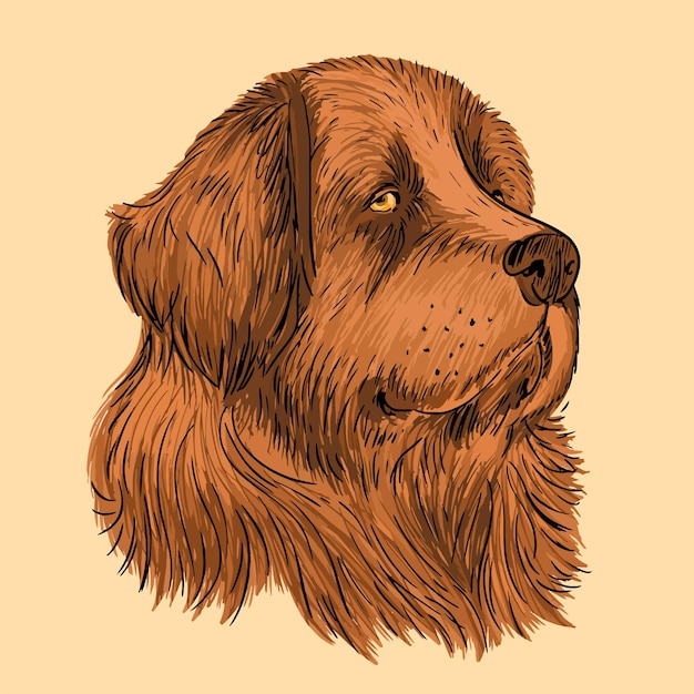 Sweet chocolate brown newfoundland dog illustration