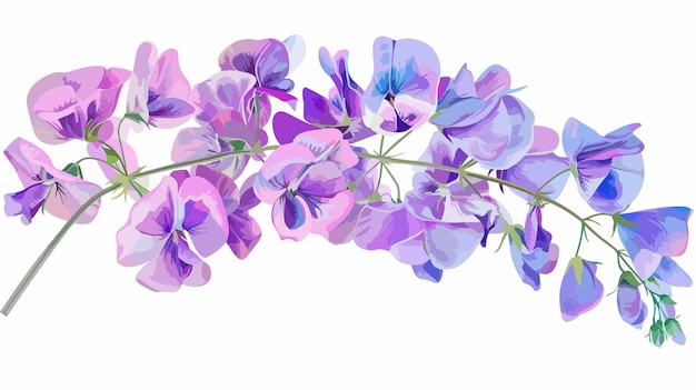 Sweet Pea Flower Clipart Isolated Vector Illustration