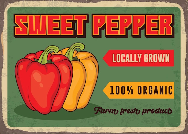 Sweet pepper vintage vegetable market advertising poster vector template