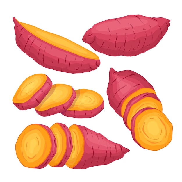 Sweet potato orange set cartoon vector illustration