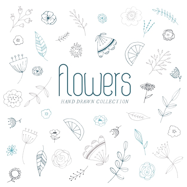 Sweet vector flowers hand drawn, white flowers, hand drawn illustration