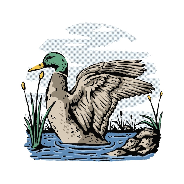 Swimming duck illustration