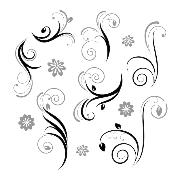 swirl element vector set collection vector illustration