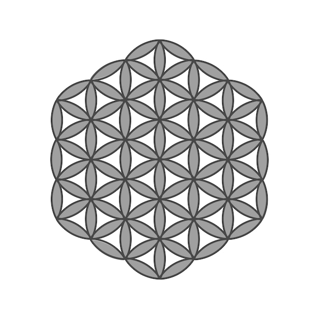 Symbol Flower of life. The flower of life is a symbol of sacred geometry and the universal forgotten