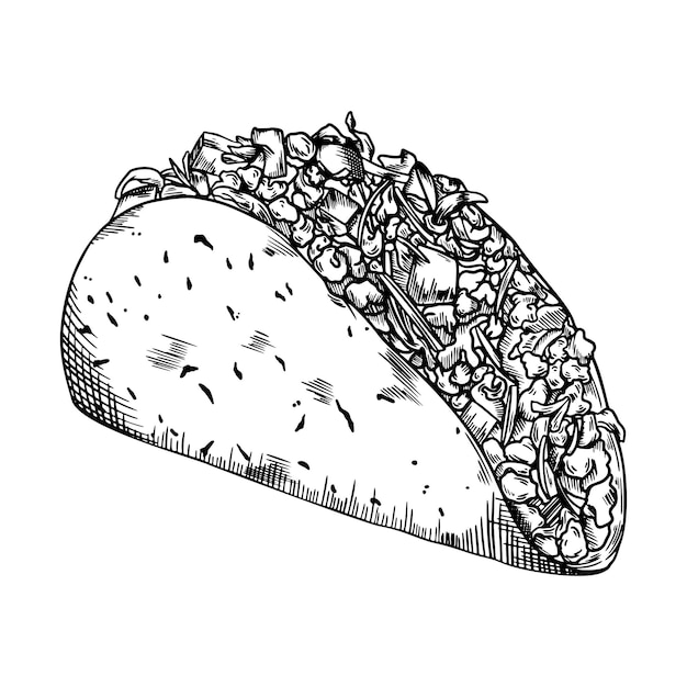 Taco Hand Drawn Skecth Mexican Food Illustration