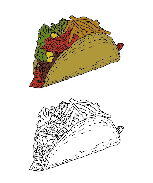 Taco vector icon