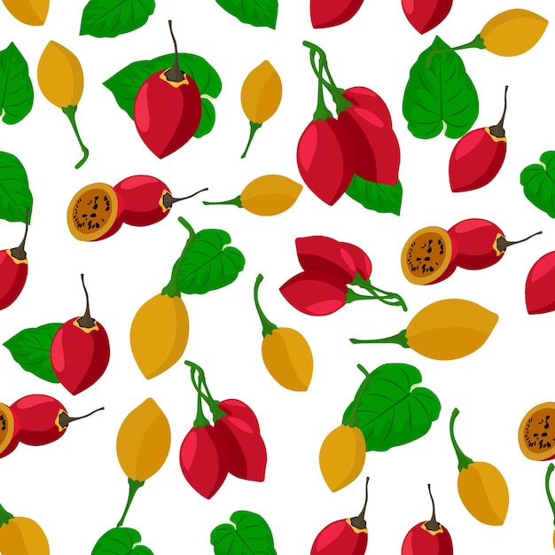 Tamarillo seamless pattern on white background, vector background.